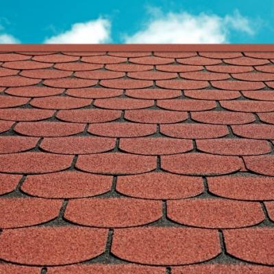Shingle